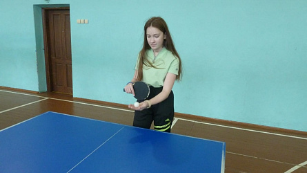 Настольный теннис